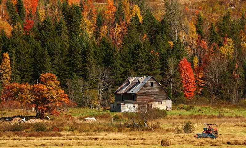 Обои природа, лес, поле, сено, осень, дом, трактор, nature, forest, field, hay, autumn, house, tractor разрешение 2592x1728 Загрузить