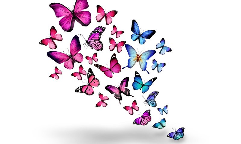 Обои насекомые, розовые, бабочки, синие, 3д, insects, pink, butterfly, blue, 3d разрешение 5500x4026 Загрузить