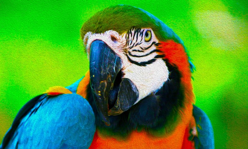 Обои арт, птицы, попугай, 3д, art, birds, parrot, 3d разрешение 1920x1080 Загрузить