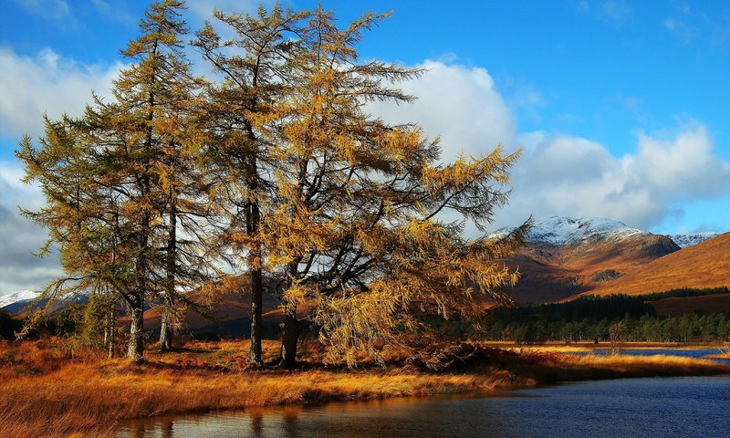 Обои деревья, озеро, пейзаж, осень, trees, lake, landscape, autumn разрешение 1920x1200 Загрузить