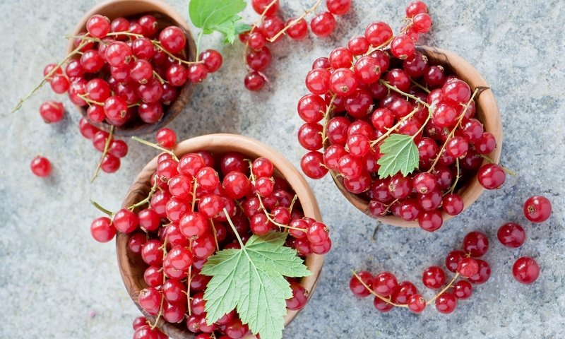 Обои ягода, красная, смородина, миски, berry, red, currants, bowls разрешение 2000x1377 Загрузить