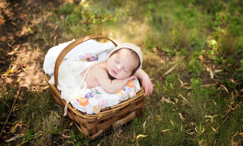 Обои природа, сон, корзина, ребенок, младенец, nature, sleep, basket, child, baby разрешение 1920x1200 Загрузить