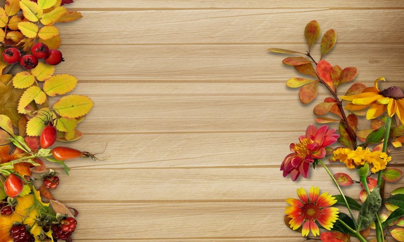 Обои цветы, листья, доски, плоды, декор, flowers, leaves, board, fruit, decor разрешение 5000x3500 Загрузить