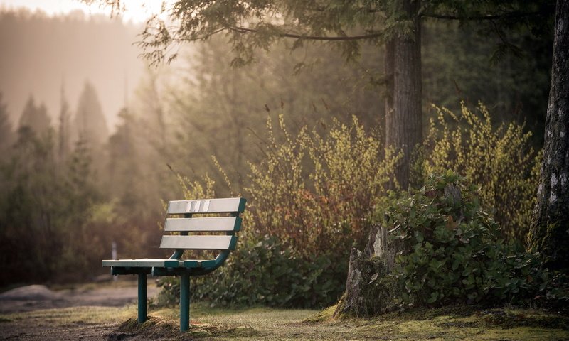 Обои парк, город, скамья, park, the city, bench разрешение 1920x1290 Загрузить