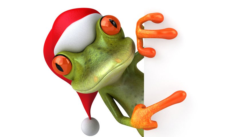 Обои глаза, лягушка, шапка, праздник, eyes, frog, hat, holiday разрешение 6000x4000 Загрузить