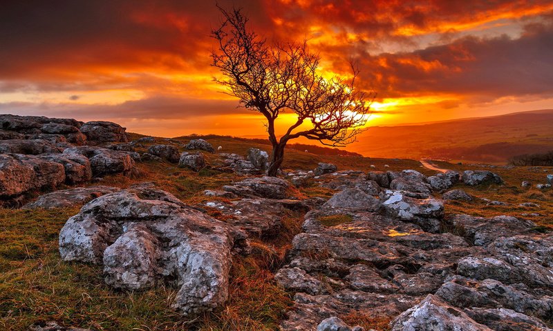 Обои небо, дорога, деревья, горы, камни, закат, тучи, зарево, the sky, road, trees, mountains, stones, sunset, clouds, glow разрешение 1920x1200 Загрузить