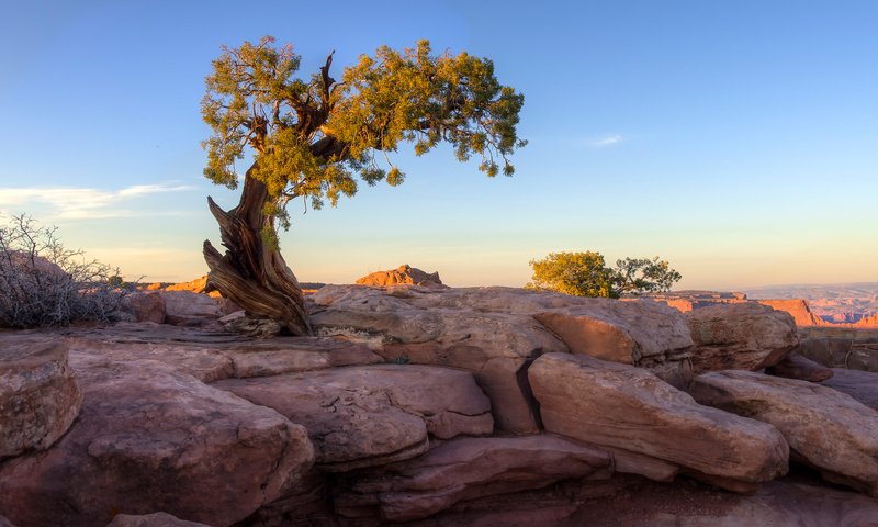 Обои небо, скалы, дерево, камни, закат, the sky, rocks, tree, stones, sunset разрешение 2560x1288 Загрузить