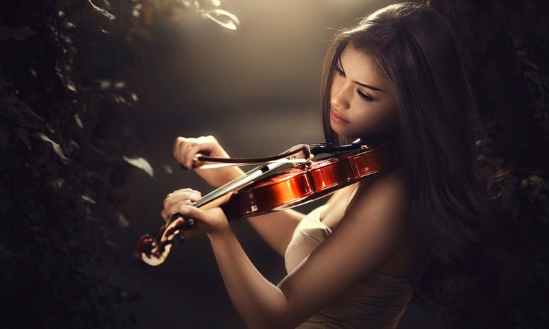 Обои девушка, скрипка, музыка, girl, violin, music разрешение 2500x1666 Загрузить