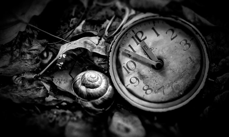 Обои чёрно-белое, часы, время, циферблат, black and white, watch, time, dial разрешение 2048x1366 Загрузить