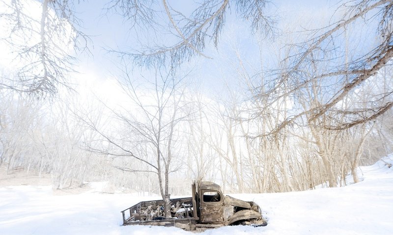 Обои деревья, снег, зима, машина, сугробы, грузовик, trees, snow, winter, machine, the snow, truck разрешение 1920x1080 Загрузить