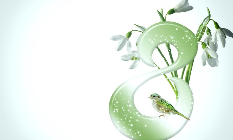 Обои птичка, 8 марта, подснежники, светлый фон, для милых дам, bird, march 8, snowdrops, light background, for the lovely ladies разрешение 2560x1600 Загрузить