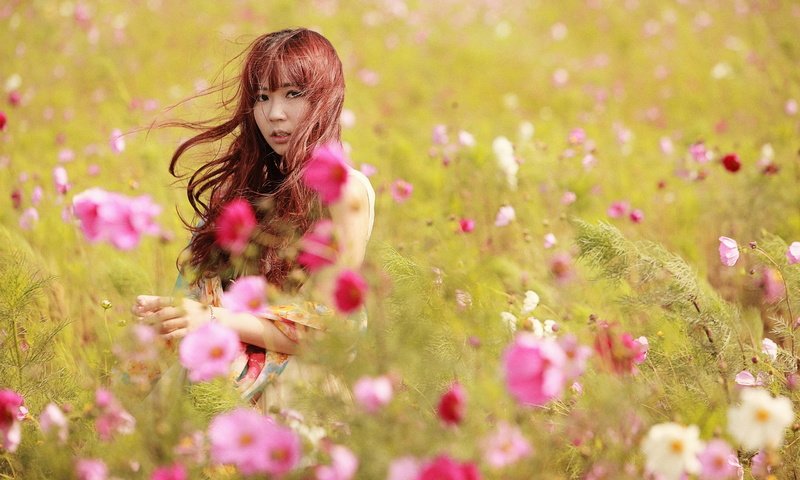 Обои цветы, девушка, луг, азиатка, космея, flowers, girl, meadow, asian, kosmeya разрешение 2560x1707 Загрузить