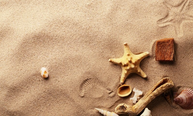 Обои макро, песок, ракушки, морская звезда, macro, sand, shell, starfish разрешение 1920x1280 Загрузить