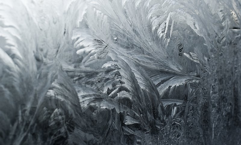 Обои текстура, зима, узор, мороз, иней, узоры, стекло, texture, winter, pattern, frost, patterns, glass разрешение 2048x1371 Загрузить