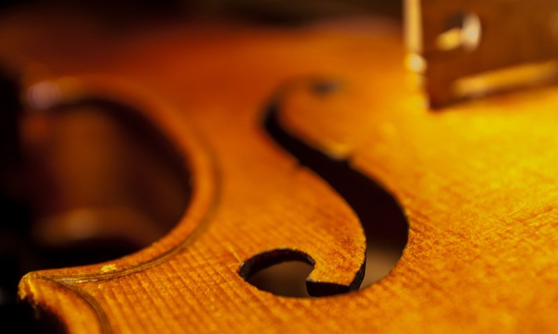 Обои макро, скрипка, музыка, виолончель, дека, macro, violin, music, cello, deca разрешение 2048x1371 Загрузить