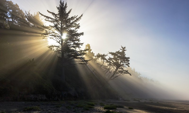 Обои небо, свет, деревья, природа, утро, the sky, light, trees, nature, morning разрешение 2048x1365 Загрузить