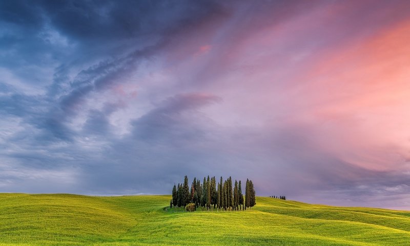 Обои трава, деревья, закат, поле, италия, тоскана, grass, trees, sunset, field, italy, tuscany разрешение 2000x1334 Загрузить
