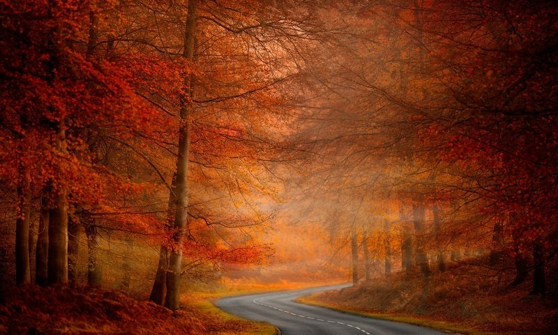 Обои дорога, деревья, природа, осень, road, trees, nature, autumn разрешение 2048x1344 Загрузить