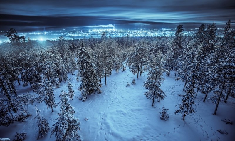 Обои ночь, деревья, снег, лес, зима, пейзаж, город, night, trees, snow, forest, winter, landscape, the city разрешение 2048x1322 Загрузить