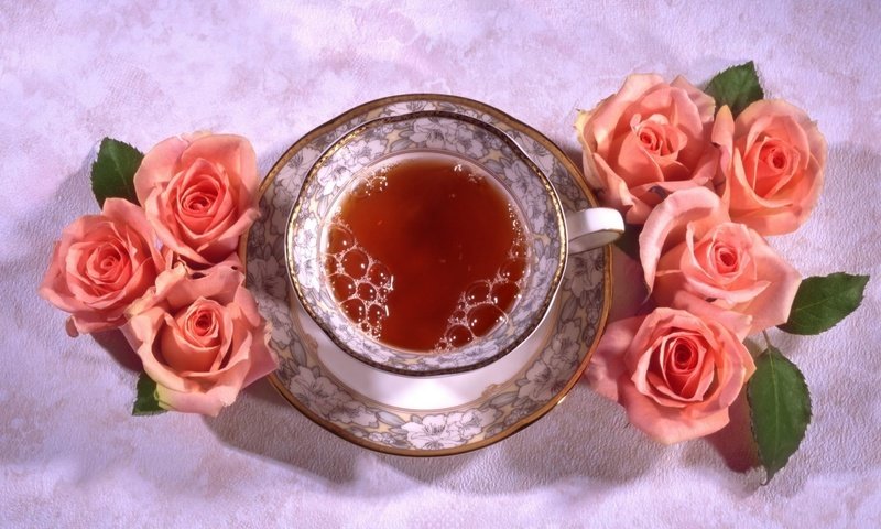 Обои цветы, розы, блюдце, чашка, чай, натюрморт, flowers, roses, saucer, cup, tea, still life разрешение 1920x1339 Загрузить