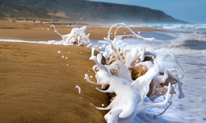 Обои берег, волны, макро, море, песок, пляж, брызги, пена, shore, wave, macro, sea, sand, beach, squirt, foam разрешение 2048x1442 Загрузить