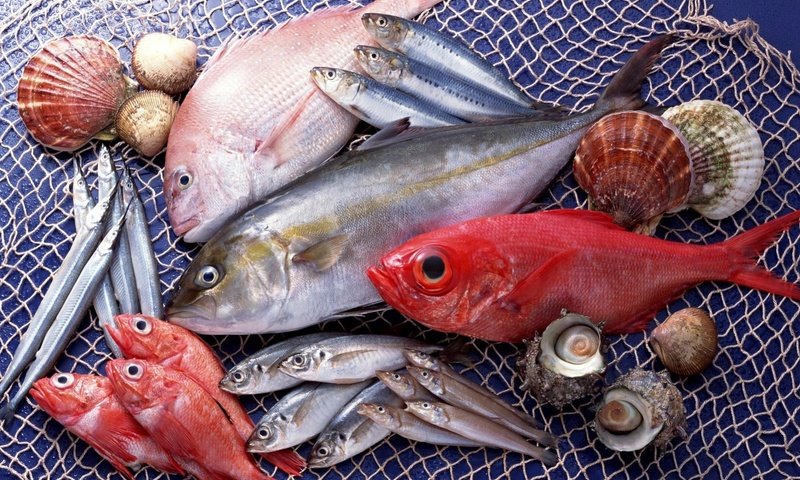 Обои ракушки, сеть, рыба, морепродукты, разнообразие, свежая, shell, network, fish, seafood, diversity, fresh разрешение 1920x1324 Загрузить