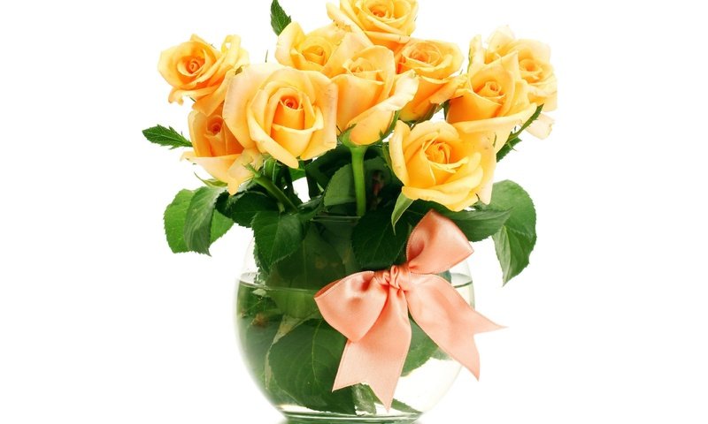 Обои цветы, бант, розы, лепестки, оранжевый, букет, белый фон, ваза, желтые, flowers, bow, roses, petals, orange, bouquet, white background, vase, yellow разрешение 4200x3050 Загрузить