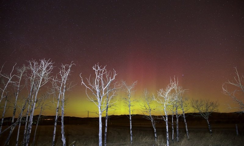 Обои небо, свет, ночь, деревья, звезды, зарево, the sky, light, night, trees, stars, glow разрешение 2048x1365 Загрузить