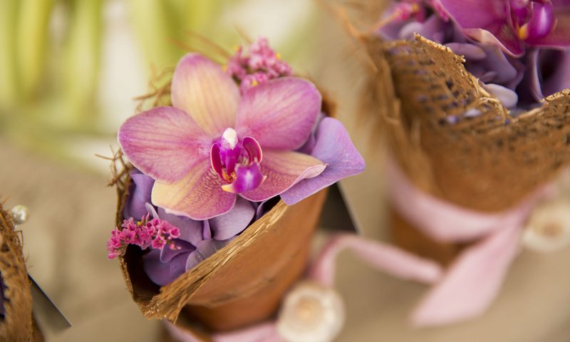 Обои цветы, цветок, лепестки, орхидея, орхидеи, гортензия, корзинки, flowers, flower, petals, orchid, orchids, hydrangea, baskets разрешение 2048x1365 Загрузить