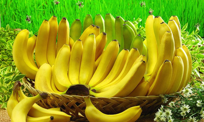 Обои фрукты, бананы, fruit, bananas разрешение 4896x3672 Загрузить