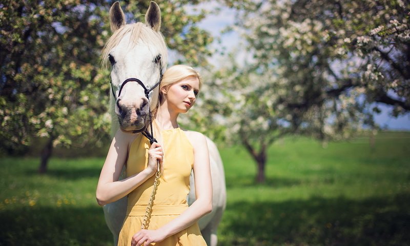 Обои лошадь, платье, блондинка, сад, horse, dress, blonde, garden разрешение 1920x1200 Загрузить