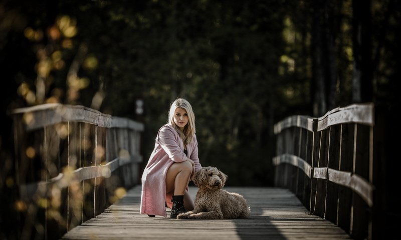 Обои девушка, настроение, блондинка, мост, собака, girl, mood, blonde, bridge, dog разрешение 4497x2821 Загрузить