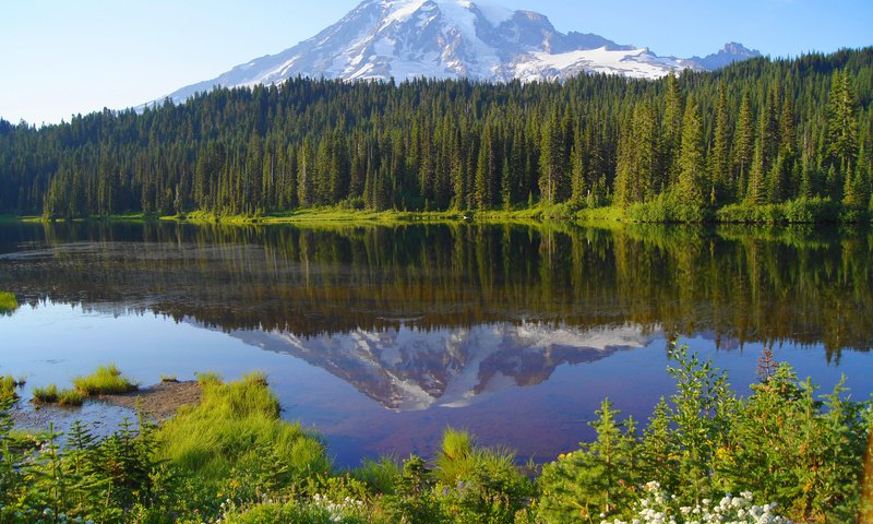 Обои озеро, горы, снег, природа, лес, отражение, lake, mountains, snow, nature, forest, reflection разрешение 1920x1200 Загрузить