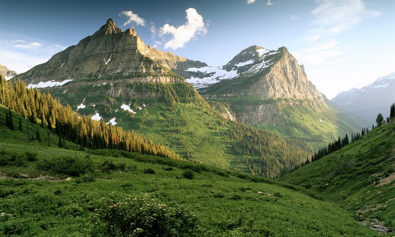 Обои горы, зелень, лес, утро, туман, вершины, поляна, mountains, greens, forest, morning, fog, tops, glade разрешение 2198x1605 Загрузить