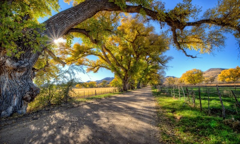 Обои небо, дорога, деревья, горы, поле, забор, солнечно, the sky, road, trees, mountains, field, the fence, sunny разрешение 2560x1600 Загрузить