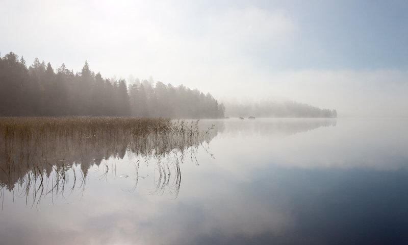 Обои небо, деревья, река, отражение, пейзаж, туман, the sky, trees, river, reflection, landscape, fog разрешение 3360x2100 Загрузить