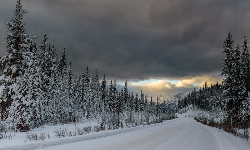 Обои дорога, горы, снег, лес, тучи, ели, road, mountains, snow, forest, clouds, ate разрешение 1920x1200 Загрузить