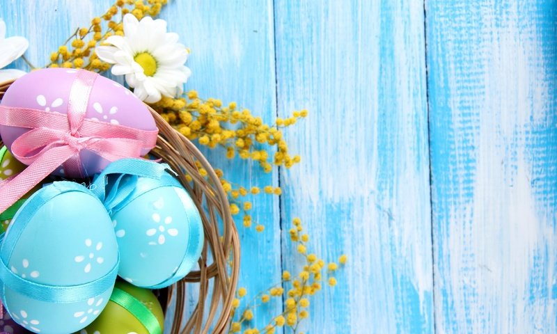 Обои цветы, весна, ромашки, пасха, яйца, мимоза, flowers, spring, chamomile, easter, eggs, mimosa разрешение 2560x1600 Загрузить