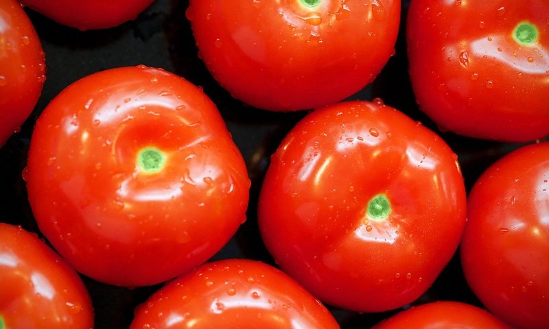 Обои капли, овощи, помидоры, томат, drops, vegetables, tomatoes, tomato разрешение 2560x1440 Загрузить