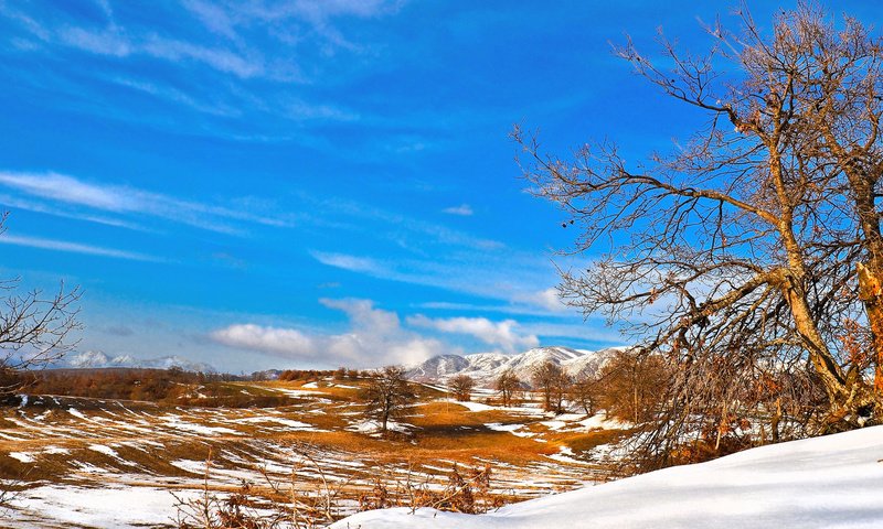 Обои небо, деревья, горы, снег, долина, the sky, trees, mountains, snow, valley разрешение 2048x1152 Загрузить