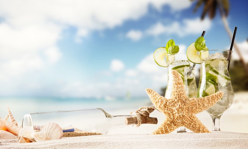 Обои бутылка, мята, морская звезда, песок, пляж, лето, ракушки, лайм, коктейль, напитки, bottle, mint, starfish, sand, beach, summer, shell, lime, cocktail, drinks разрешение 5616x3660 Загрузить