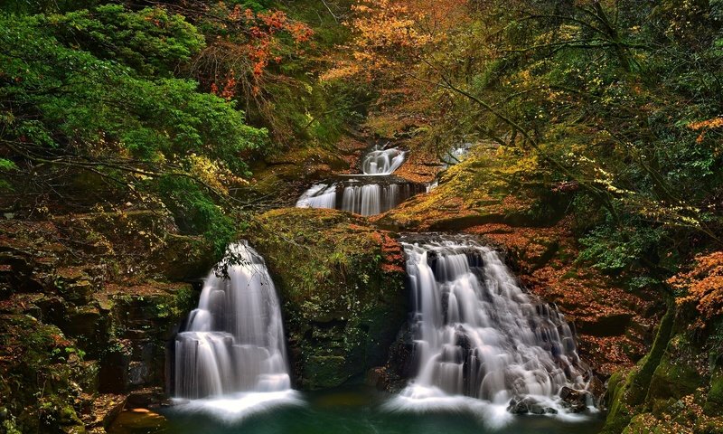 Обои деревья, лес, осень, япония, водопады, каскад, набари, trees, forest, autumn, japan, waterfalls, cascade, nabari разрешение 2400x1554 Загрузить