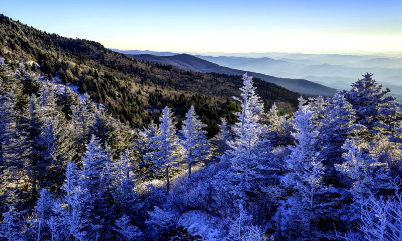 Обои деревья, горы, снег, зима, панорама, леса, trees, mountains, snow, winter, panorama, forest разрешение 2592x1728 Загрузить