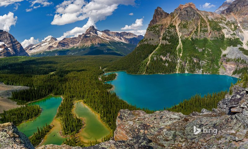 Обои озеро, горы, лес, пейзаж, bing, lake ohara, lake, mountains, forest, landscape разрешение 1920x1200 Загрузить