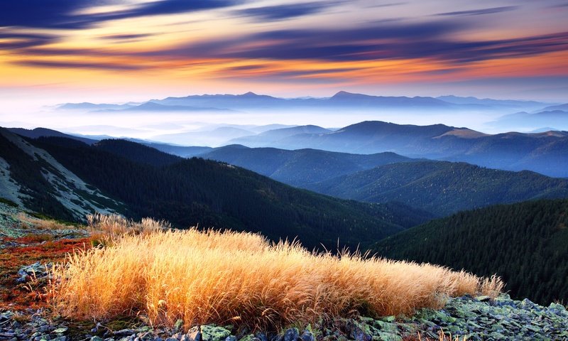 Обои небо, панорама, облака, долина, деревья, higlands, green decline, горы, красивейший, лес, туман, вид, горизонт, the sky, panorama, clouds, valley, trees, mountains, beautiful, forest, fog, view, horizon разрешение 7736x5551 Загрузить