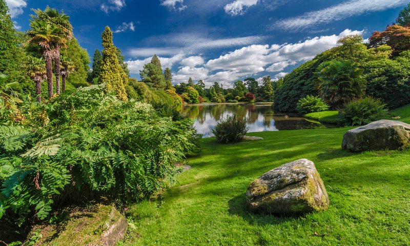 Обои небо, middle lake, sheffield park, трава, облака, деревья, озеро, камни, пейзаж, осень, the sky, grass, clouds, trees, lake, stones, landscape, autumn разрешение 2048x1152 Загрузить