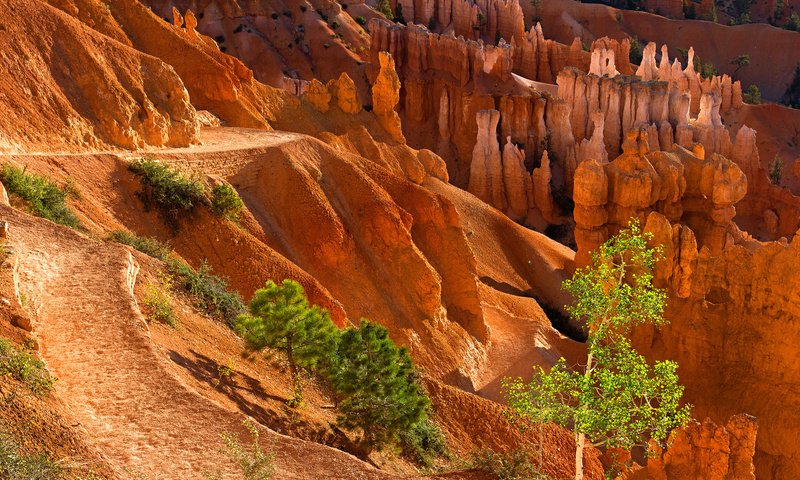 Обои деревья, горы, скалы, камни, каньон, trees, mountains, rocks, stones, canyon разрешение 2048x1365 Загрузить