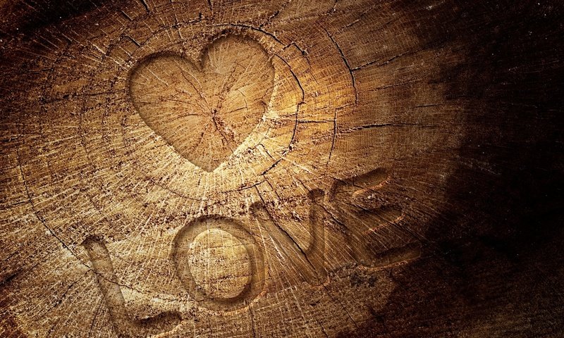 Обои дерево, сердце, любовь, древесина, дерева, влюбленная, сердечка, tree, heart, love, wood разрешение 1920x1080 Загрузить