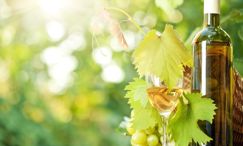 Обои виноград, бокал, вино, бутылка, солнечные лучи, grapes, glass, wine, bottle, the sun's rays разрешение 3609x2912 Загрузить