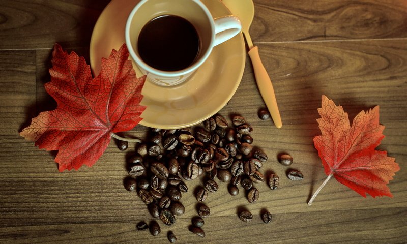 Обои осень, кофе, чашка, книга, кубок, осен,  листья, бобы, autumn, coffee, cup, book, leaves, beans разрешение 5045x3363 Загрузить